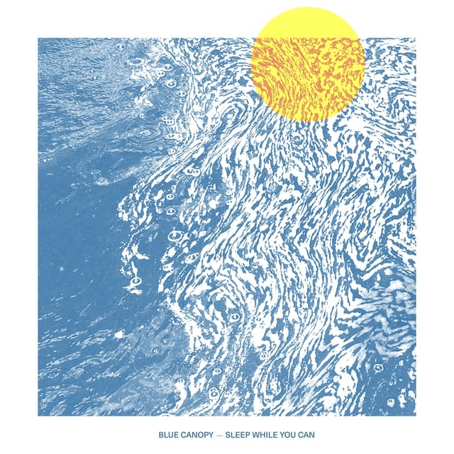 Album cover art for Sleep While You Can