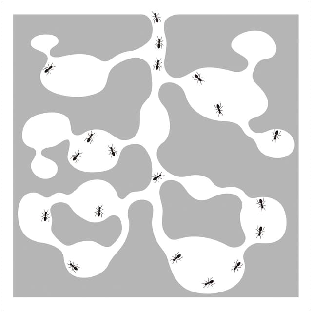 Album cover art for ARIKANASHIKA