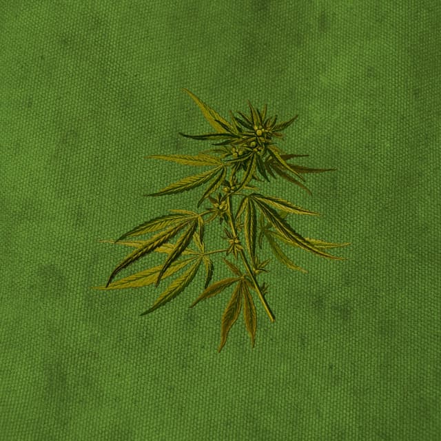 Album cover art for Green