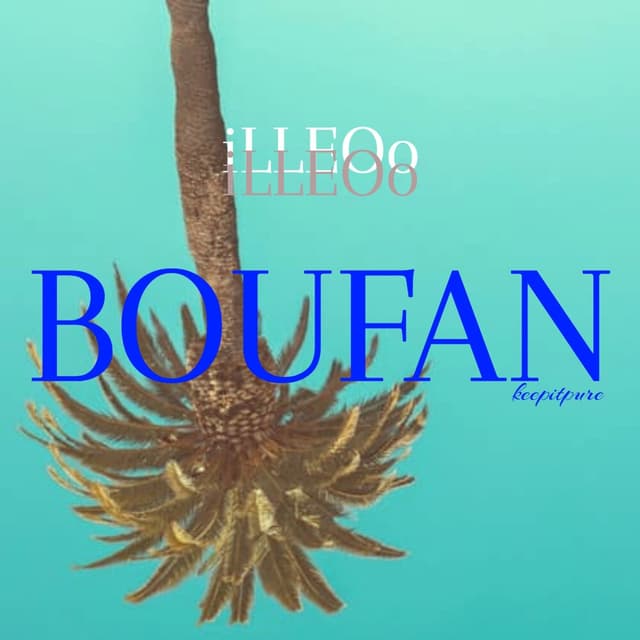 Album cover art for BOUFAN (Explicit Ver.)