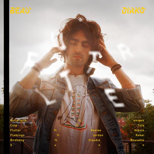 Album cover art for Flutter