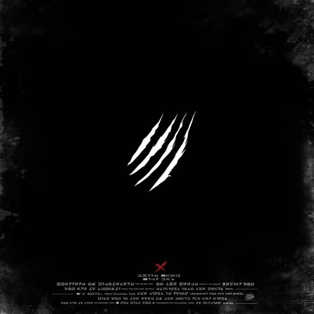 Album cover art for Дикая кошка