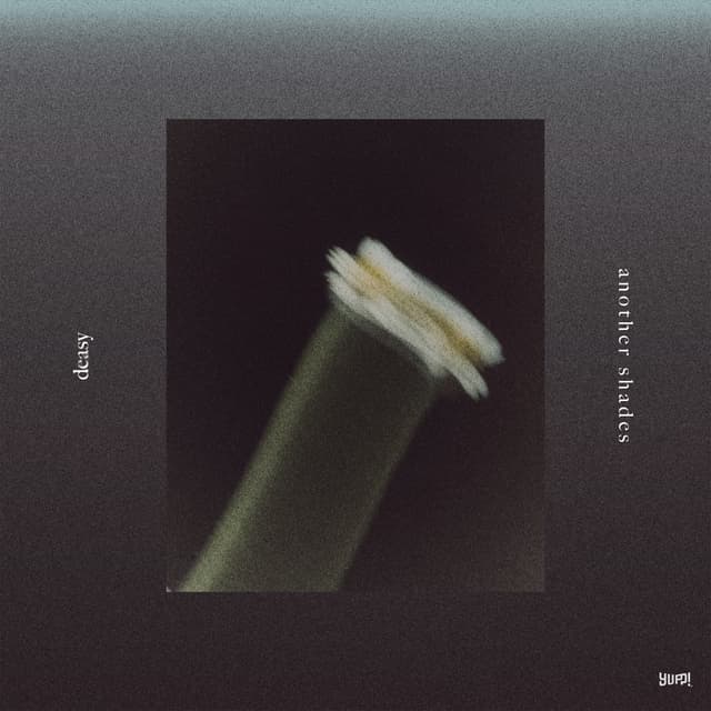 Album cover art for another shades