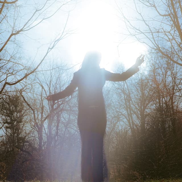 Album cover art for Antenna