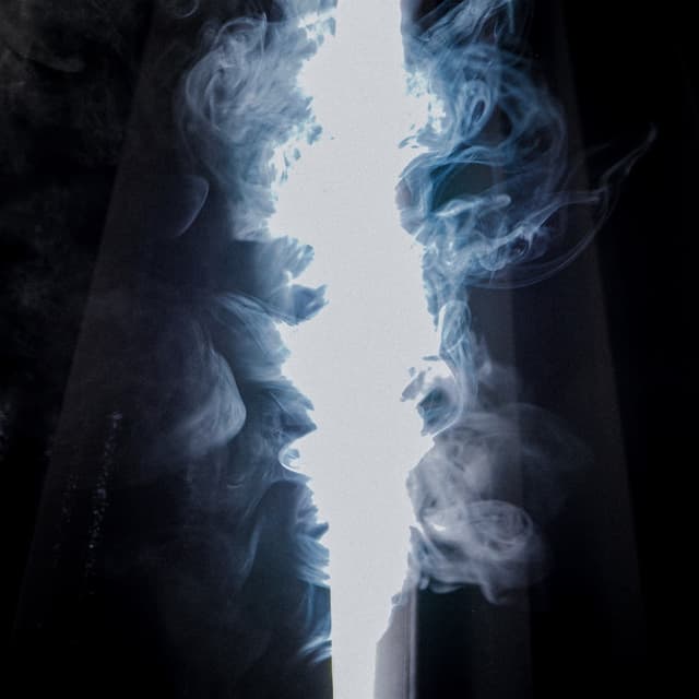 Album cover art for Still