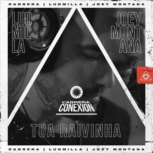 Album cover art for Tua Raivinha