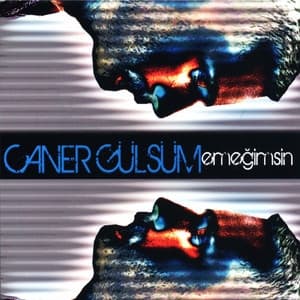 Album cover art for Emeğimsin
