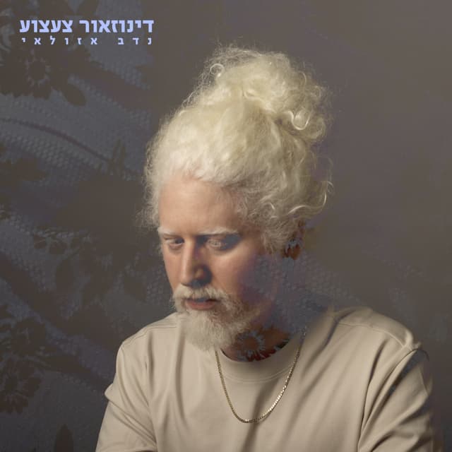 Album cover art for דינוזאור צעצוע