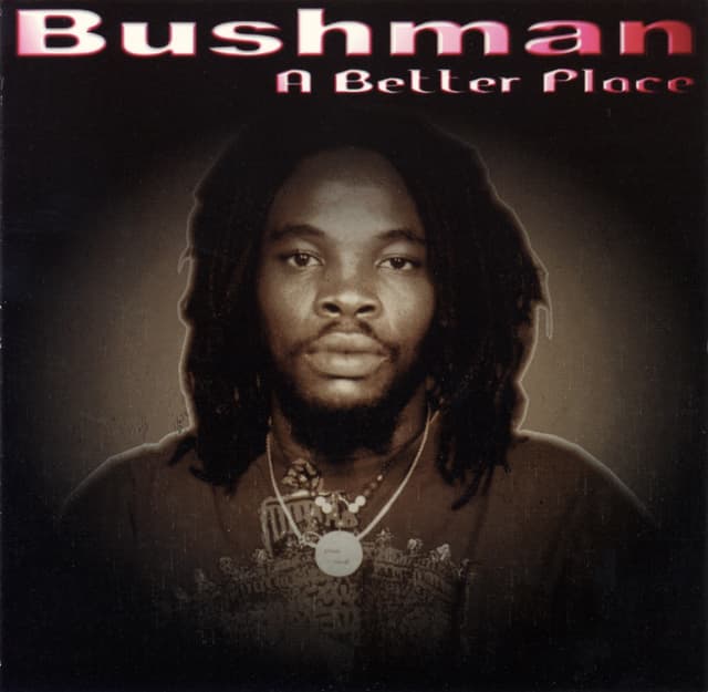 Album cover art for A Better Place