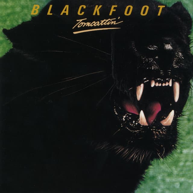 Album cover art for Tomcatin