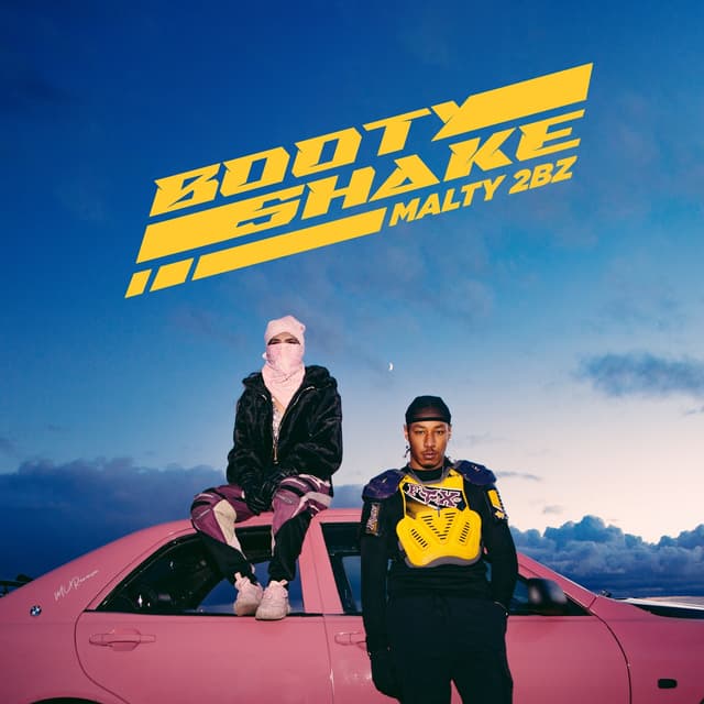 Album cover art for Bootyshake