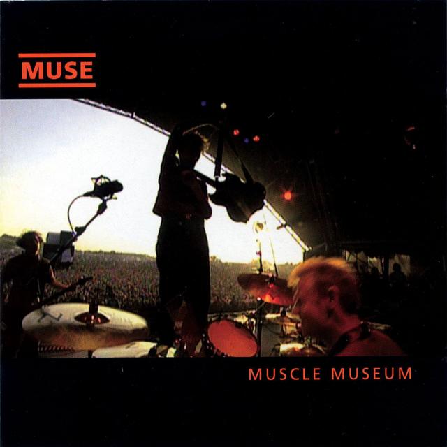 Album cover art for Muscle Museum