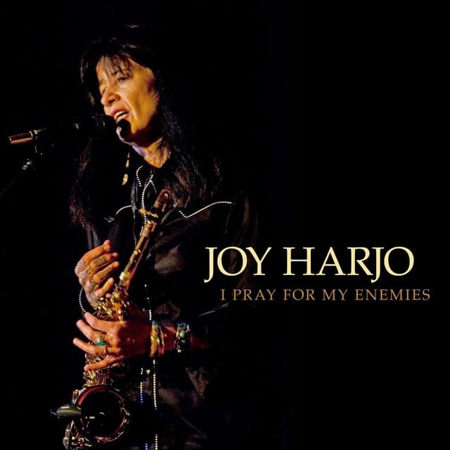 Album cover art for I Pray for My Enemies