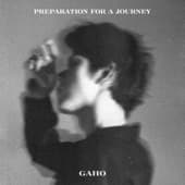 Album cover art for Preparation for a Journey