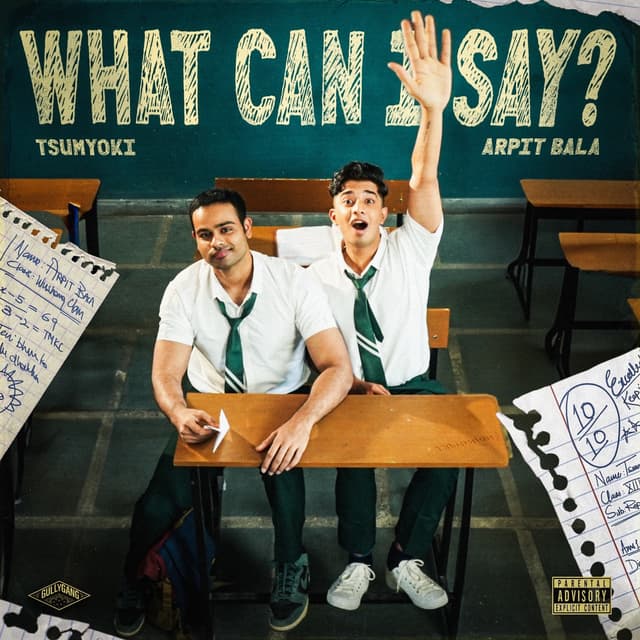 Album cover art for WHAT CAN I SAY?