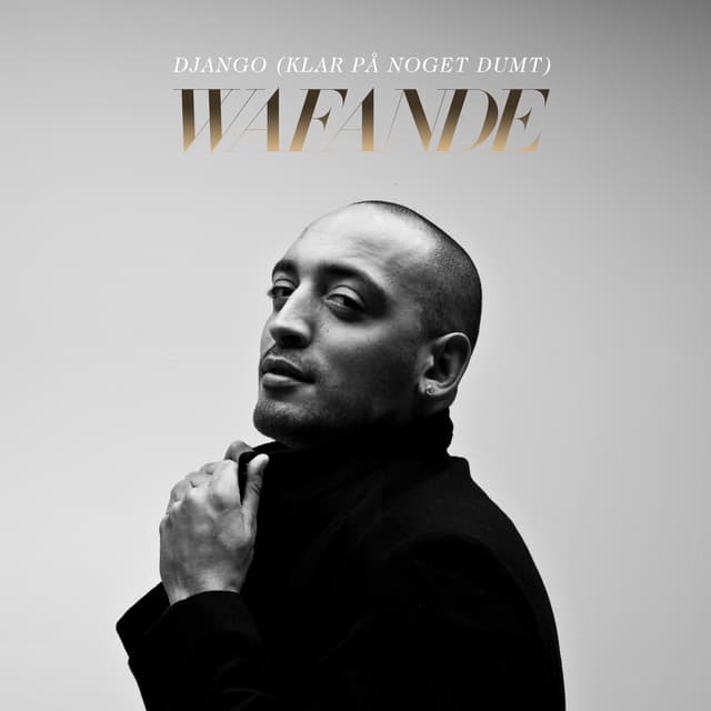 Album cover art for Django (klar på noget dumt)