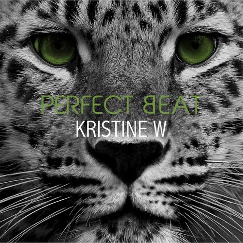 Album cover art for Perfect Beat