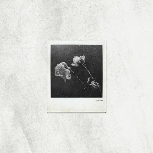 Album cover art for Between Love and Goodbye