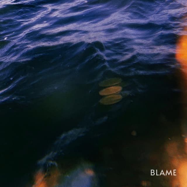 Album cover art for Blame