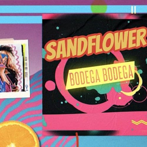 Album cover art for Bodega Bodega