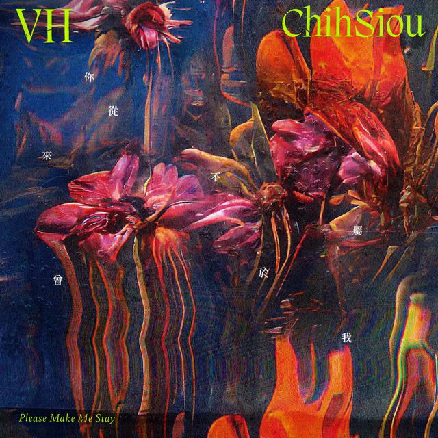 Album cover art for 你從來不曾屬於我