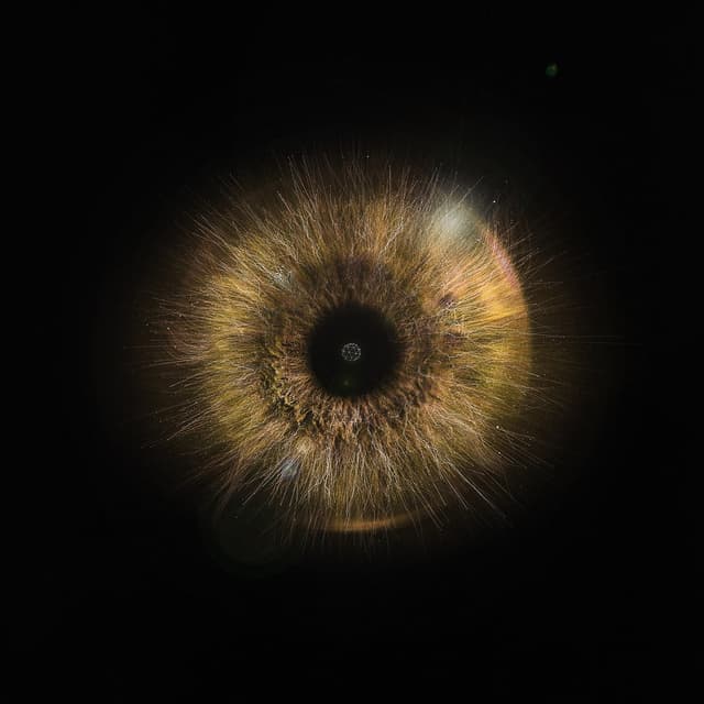 Album cover art for Lapso