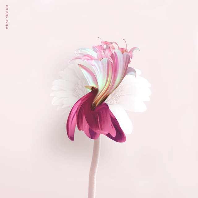 Album cover art for What You Do