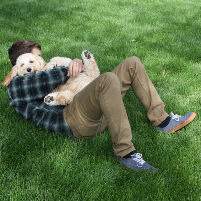 Album cover art for SUN