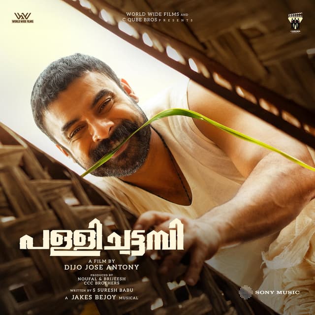 Album cover art for Pallichattambi