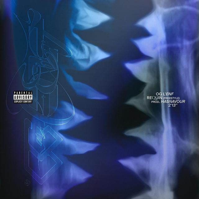 Album cover art for Requin