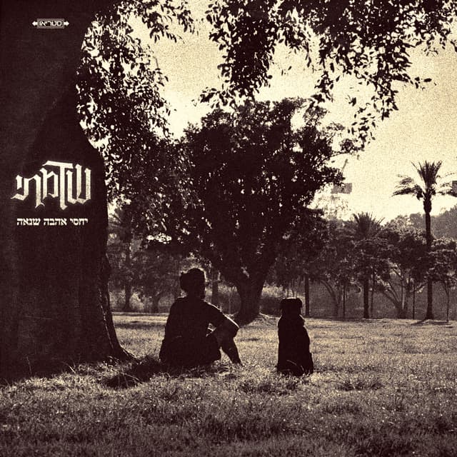 Album cover art for יחסי אהבה שנאה
