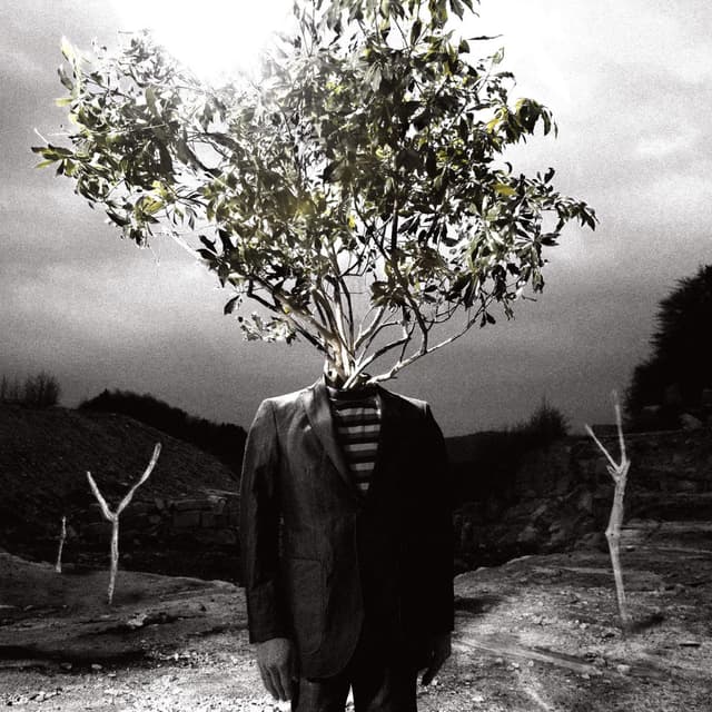 Album cover art for Revolutionary
