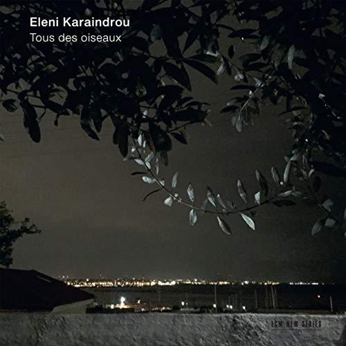 Album cover art for Tous des Oiseaux