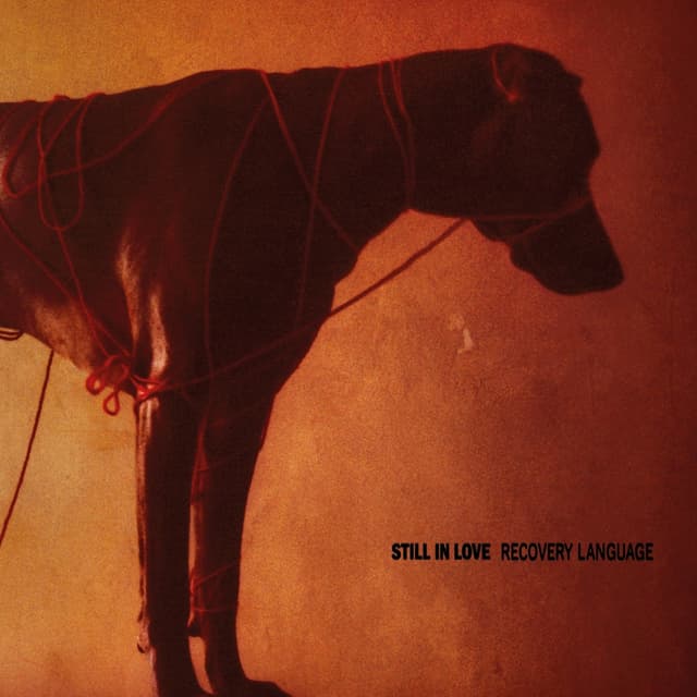 Album cover art for Recovery Language