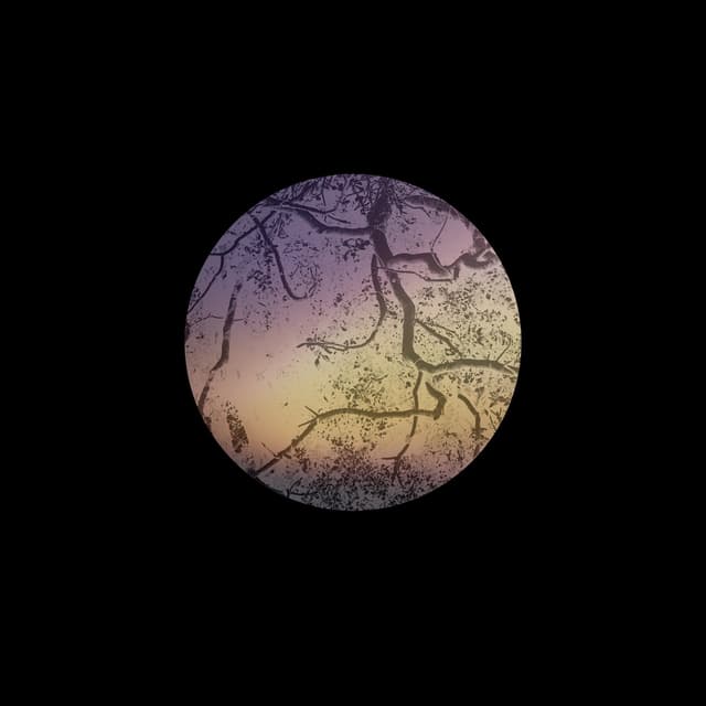 Album cover art for Light That Slips Away