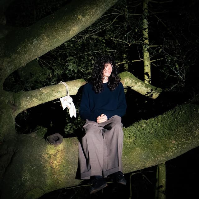 Album cover art for Brise du vent