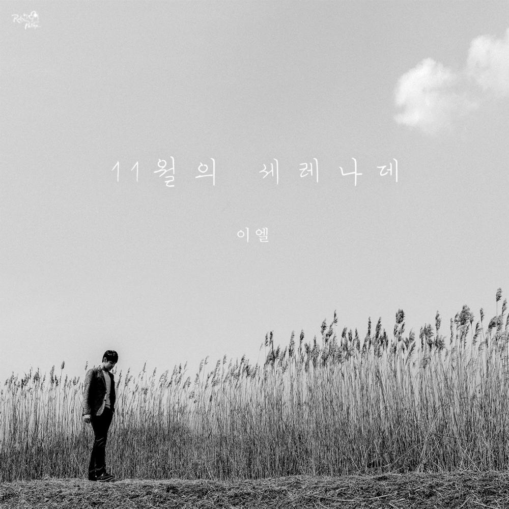 11월의 세레나데