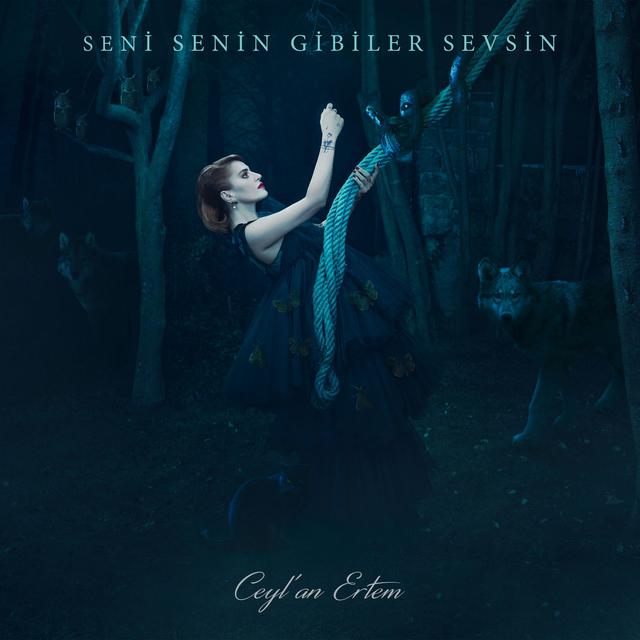 Album cover art for Seni Senin Gibiler Sevsin