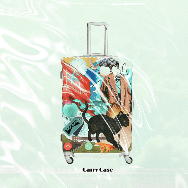 Album cover art for Carry Case