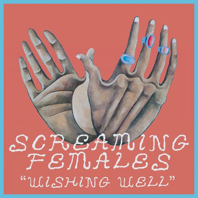 Album cover art for Wishing Well