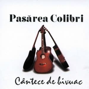 Album cover art for Cântece De Bivuac