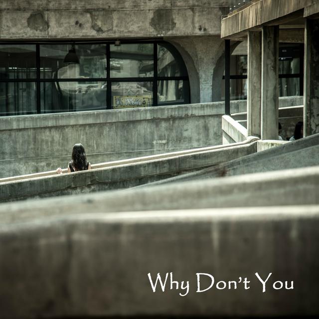 Album cover art for Why Don't You