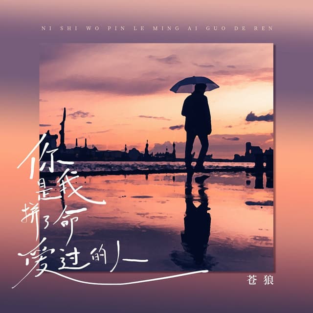 Album cover art for 你是我拼了命爱过的人