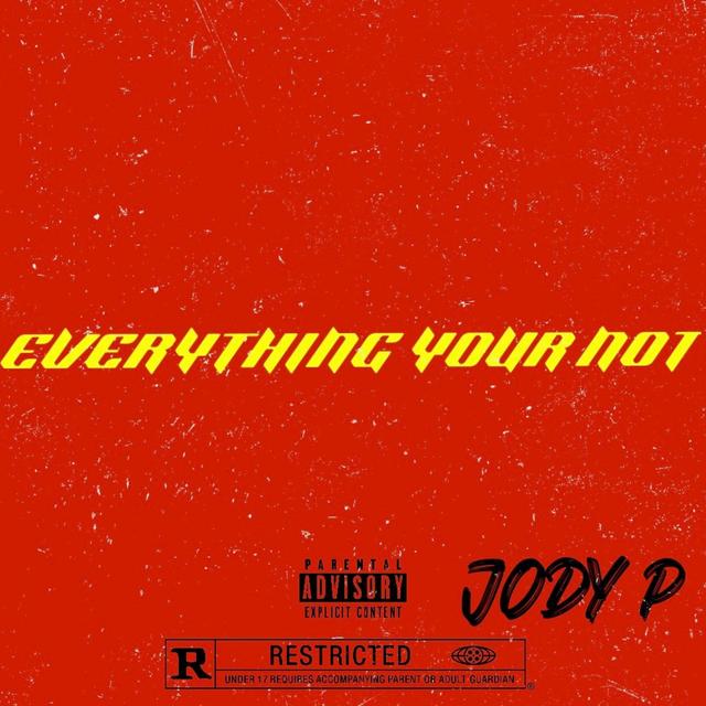 Album cover art for Everything Your Not