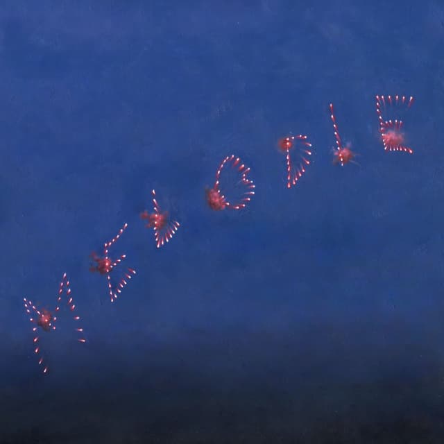 Album cover art for Melodie