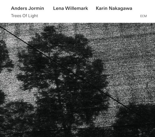 Album cover art for Trees of Light