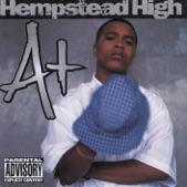 Album cover art for Hempstead High