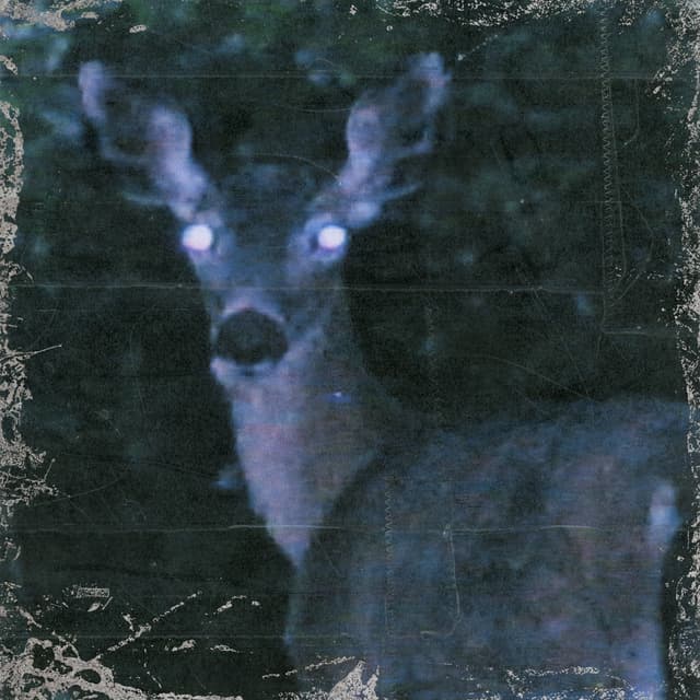 Album cover art for Took My Time