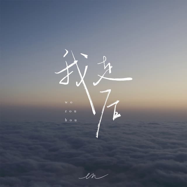 Album cover art for 我走后 (深情版)