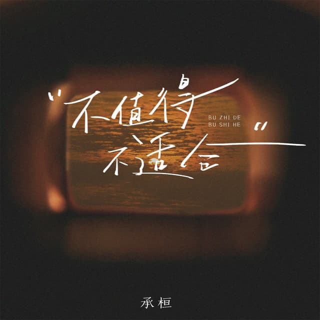Album cover art for 不值得不适合